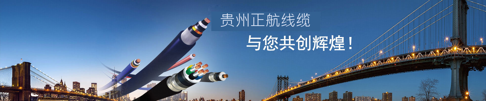 贵州正航线缆有限公司